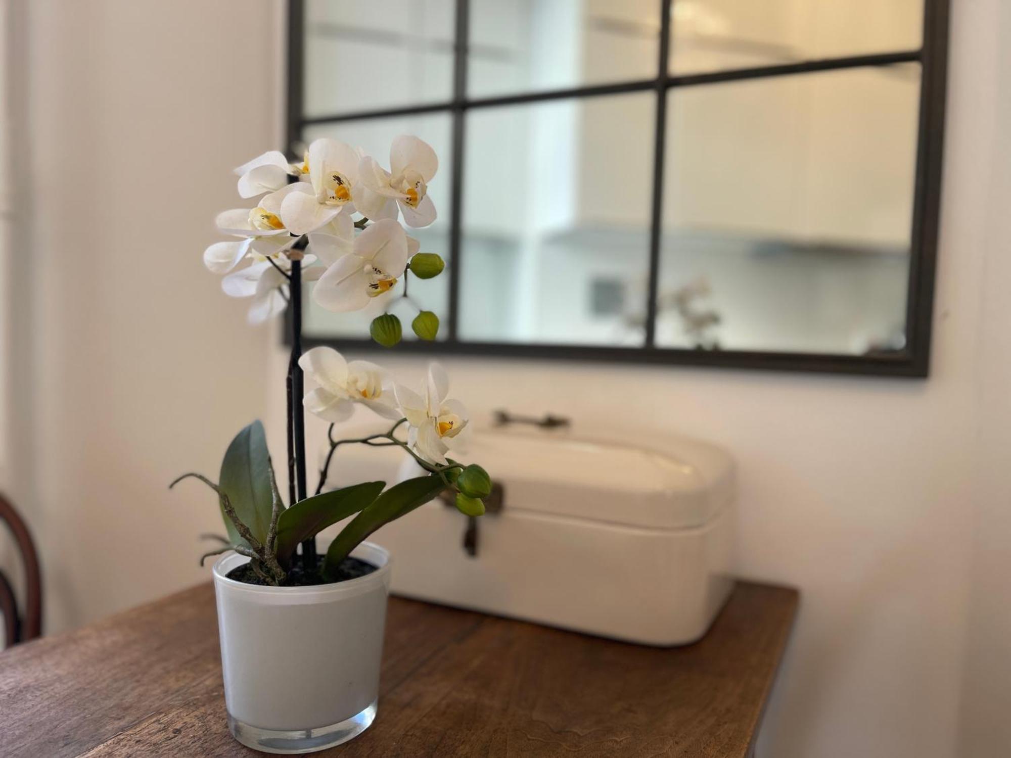 Apartment Fantastic In Prime Location - Center West